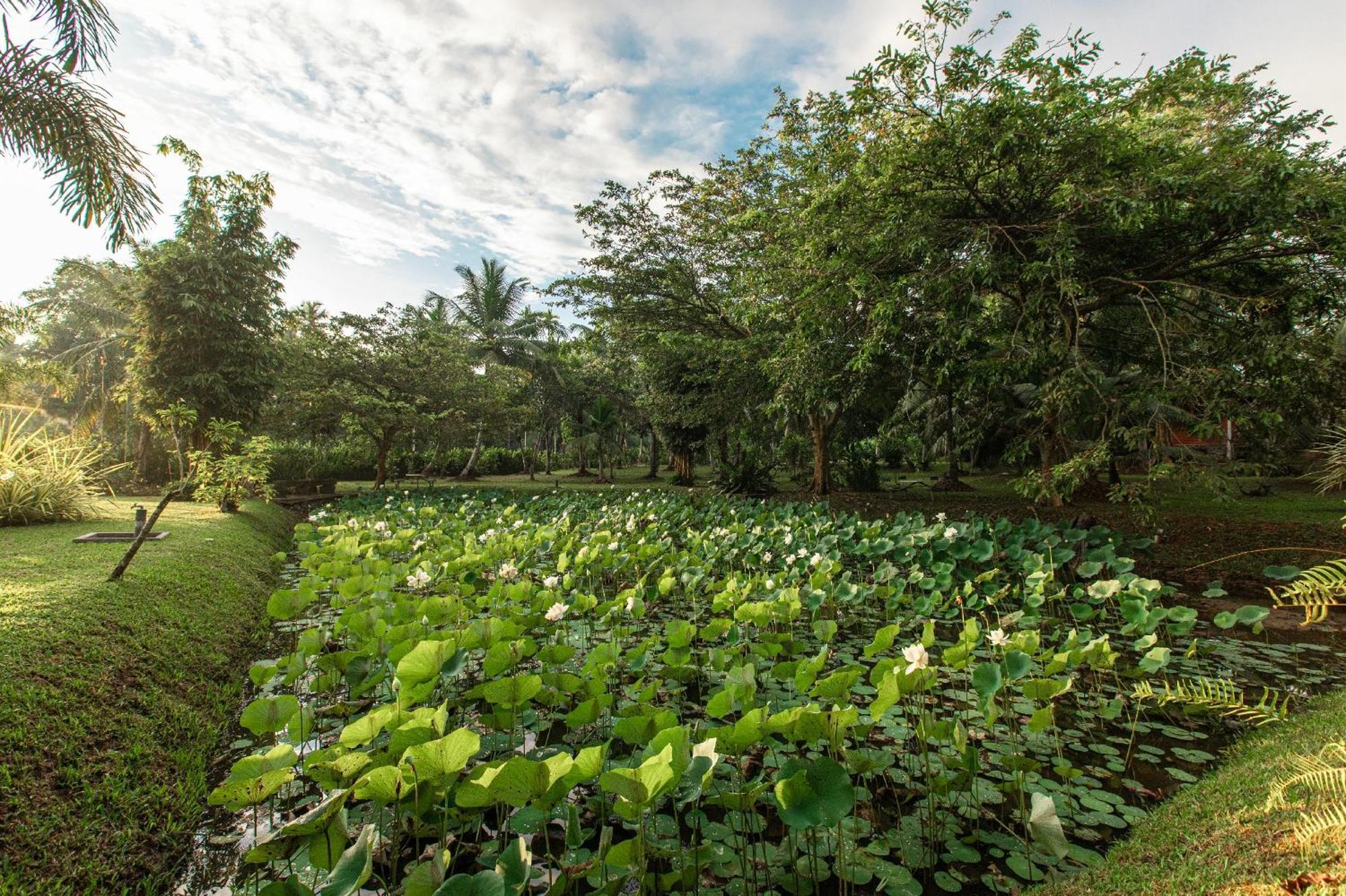 Villa Acres Green Hikkaduwa Bagian luar foto